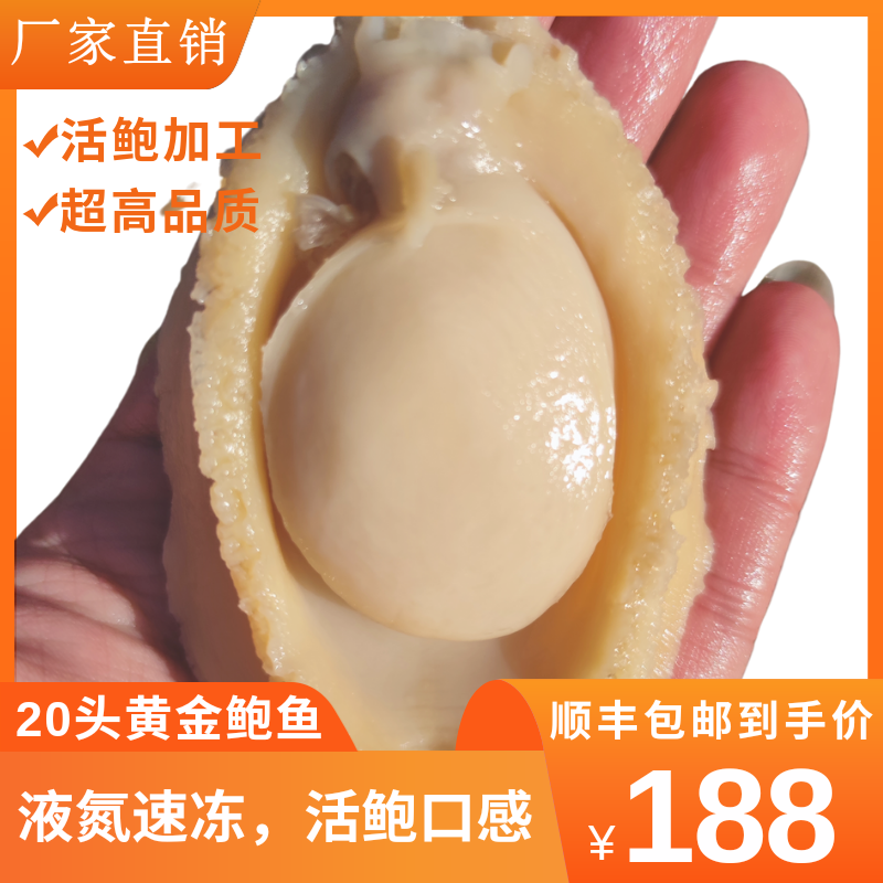 新鲜冷冻黄金鲍鱼酒店商用品质
