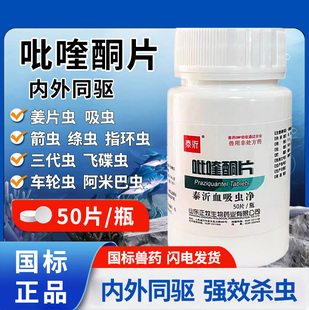 吡喹酮鱼药龙鱼鹦鹉鱼观赏鱼驱虫内服药鱼体内外寄双杀绦虫检疫