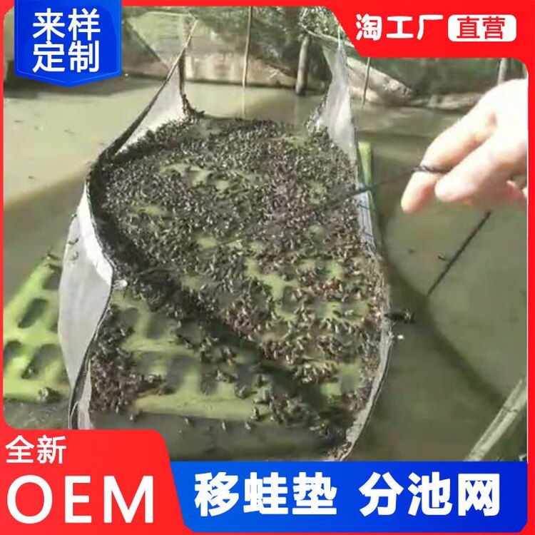移蛙垫抓蛙网牛蛙苗变态移池垫