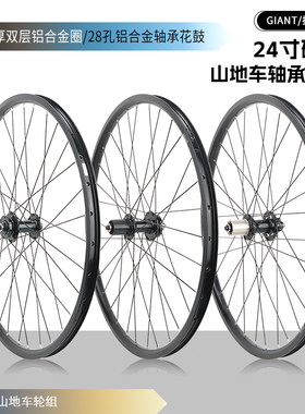 GIANT捷安特24寸山地自行车轮组