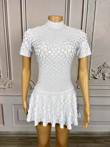 Latin Dress Show Stage Wear Short Dress for Women Party Cele