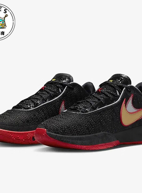 Nike/耐克正品LeBron 20男士防滑运动实战篮球鞋DJ5423-001