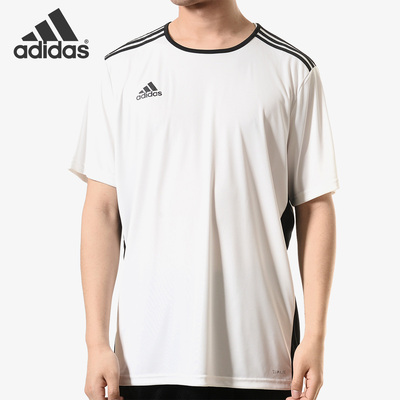 Adidas夏季男子圆领透气跑步T恤