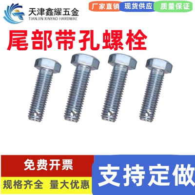 8.8外六角镀锌带孔螺栓