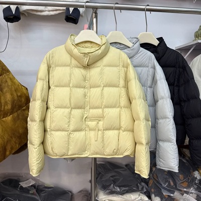 欧洲站轻薄短款羽绒服女2025冬季新款时尚立领显瘦白鸭绒外套