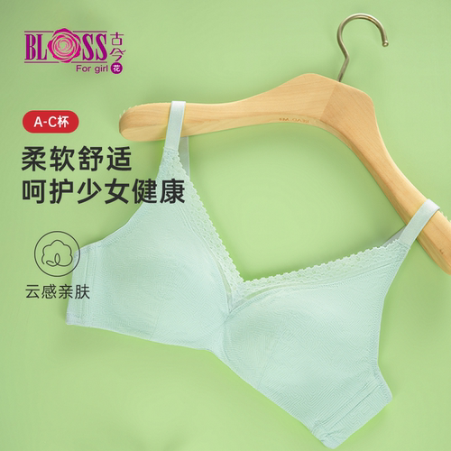 女夏薄款内衣古今无钢圈聚拢