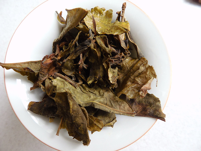 2025年忙肺古树黄片老叶子茶普洱