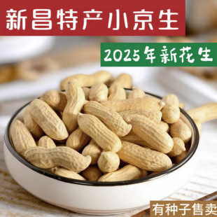 正宗新昌特产小京生花生2025新花生炒货小红毛红皮带壳袋装大市聚