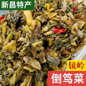 新昌特产正宗镜岭倒笃菜雪菜下饭菜老坛酸菜咸菜九心菜乡村农味