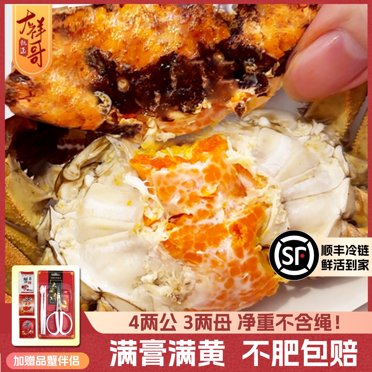 ѡբз43ĸʻзֻݴբзװ ȫз48ֻ 350.24Ԫ