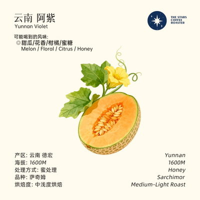 阿紫 萨奇姆蜜处理侏椤庄园云南德宏精品手冲单品咖啡豆星辰咖啡