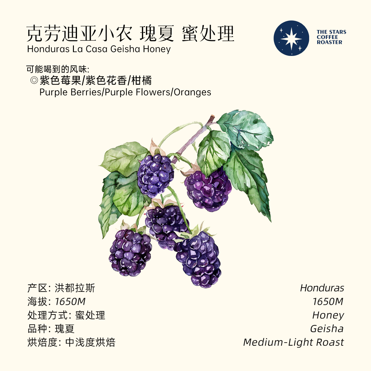 瑰夏 克劳迪亚小农 蜜处理 洪都拉斯精品手冲单品咖啡豆 星辰咖啡