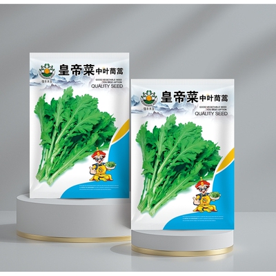 皇帝菜中叶茼蒿分叉多花叶茼蒿四季春菊菜四季种植小叶茼蒿种孑