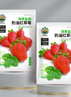 奶油红草莓每包约500粒四季红色白色奶油草莓种籽子水果种子盆栽