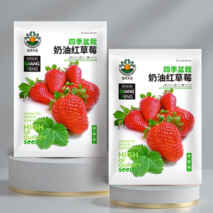 奶油红草莓每包约500粒四季红色白色奶油草莓种籽子水果种子盆栽