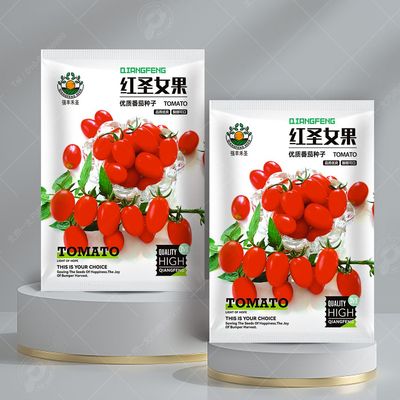 新鲜水果番茄籽种子 红圣女果种子樱桃小番茄 阳台盆栽西红柿种子