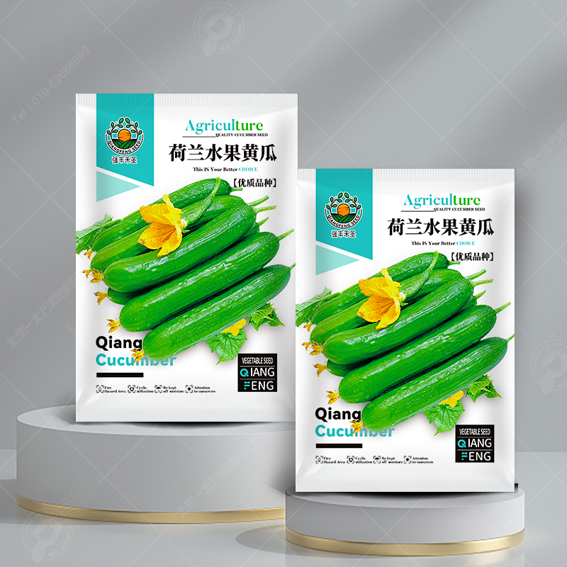 荷兰水果黄瓜种子无刺小黄瓜种籽四季阳台盆栽菜籽庭院蔬菜种子孑