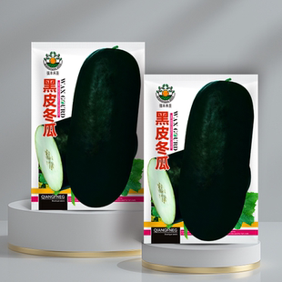 黑皮冬瓜种孑高产春季四季农家庭院冬瓜种籽抗病青皮大号冬瓜种子