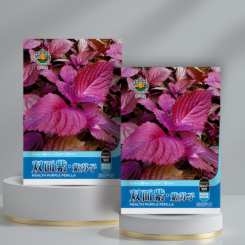 紫苏种子可食用双面红紫苏大叶紫苏种子四季耐热阳台盆栽蔬菜种子