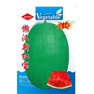 懒汉新红宝西瓜种籽绿皮大果少籽含糖量高春季四季巨型水果种子孑