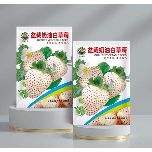 奶油白草莓种籽子盆栽草莓阳台春四季大田农家田园田艺甜草莓种孑