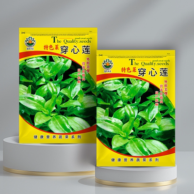 中药材穿心莲种子中草药穿心莲种籽非蔬菜盆栽四季种植苗兽用阳台