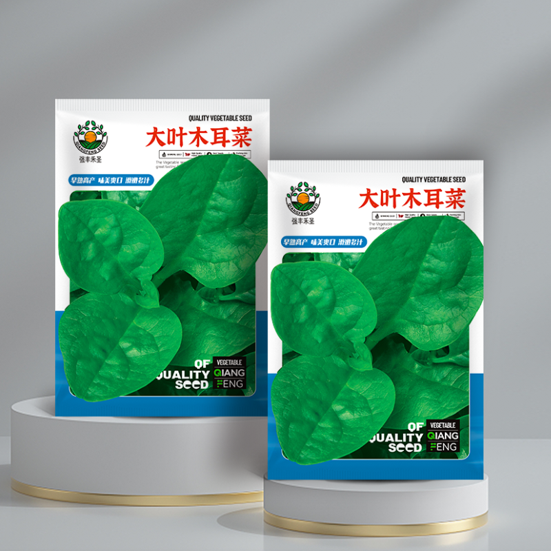 四季大叶木耳菜种子肉厚懒人耐高温耐湿阳台盆栽高钙易种蔬菜种籽