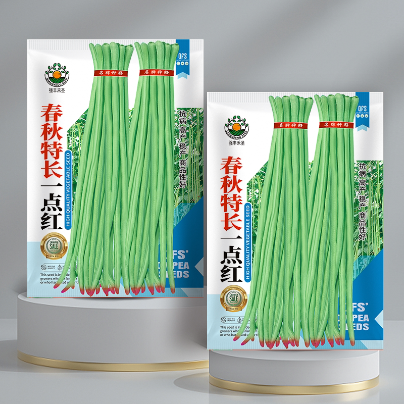 一点红豇豆种子特长一点红四季豆秋冬季春季豆角种籽大全蔬菜孑图片