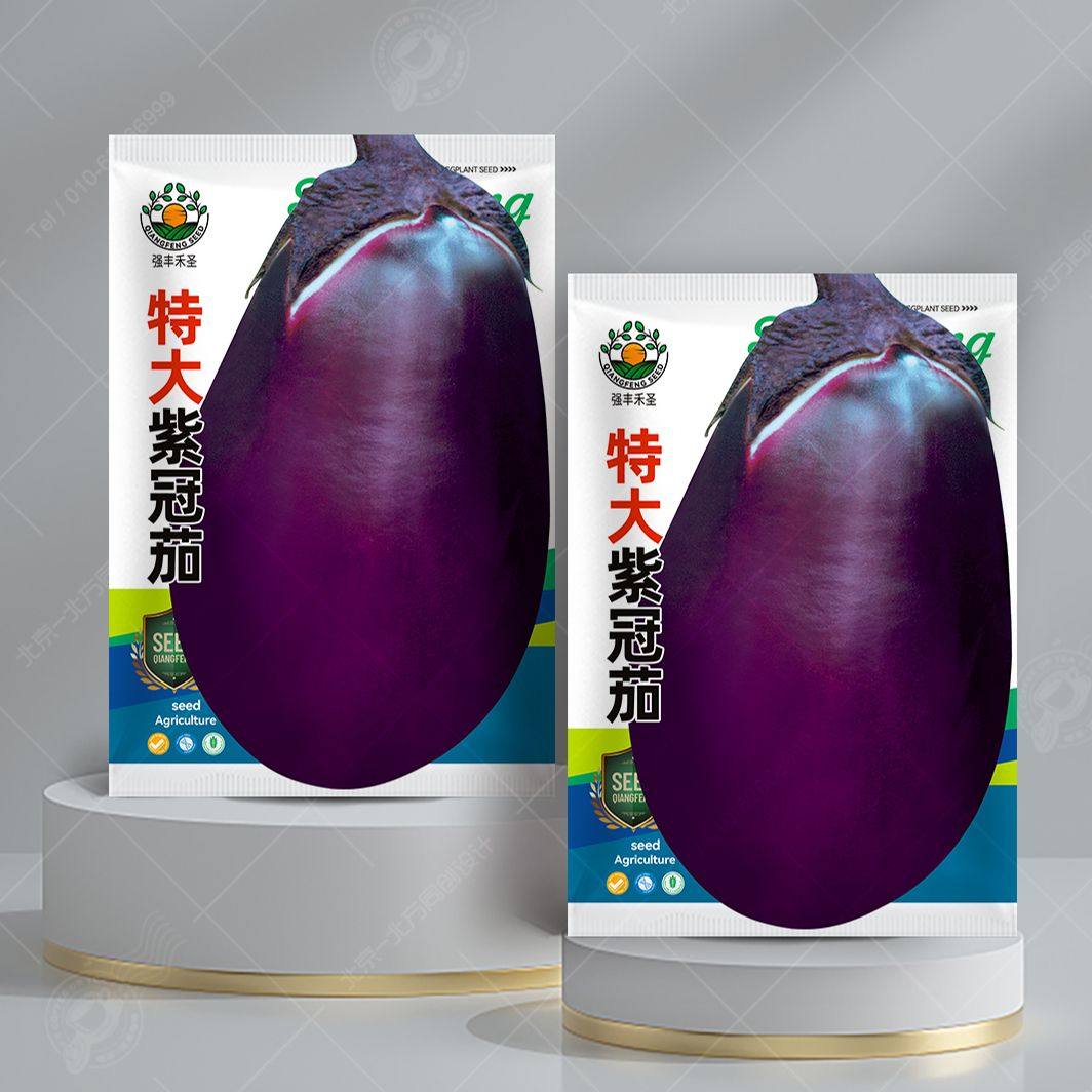 特大紫罐茄茄子大牛心茄蔬菜种孑农家盆栽高产春秋季四季菜瓜种籽