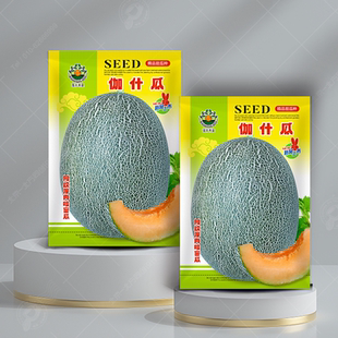 伽什瓜哈密瓜种子香甜哈密瓜四季春季冬季南方蔬菜水果瓜果种籽孑
