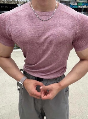 夏季美式无缝提花显大肌肉t恤健身衣服男弹力速干灰色收袖口短袖