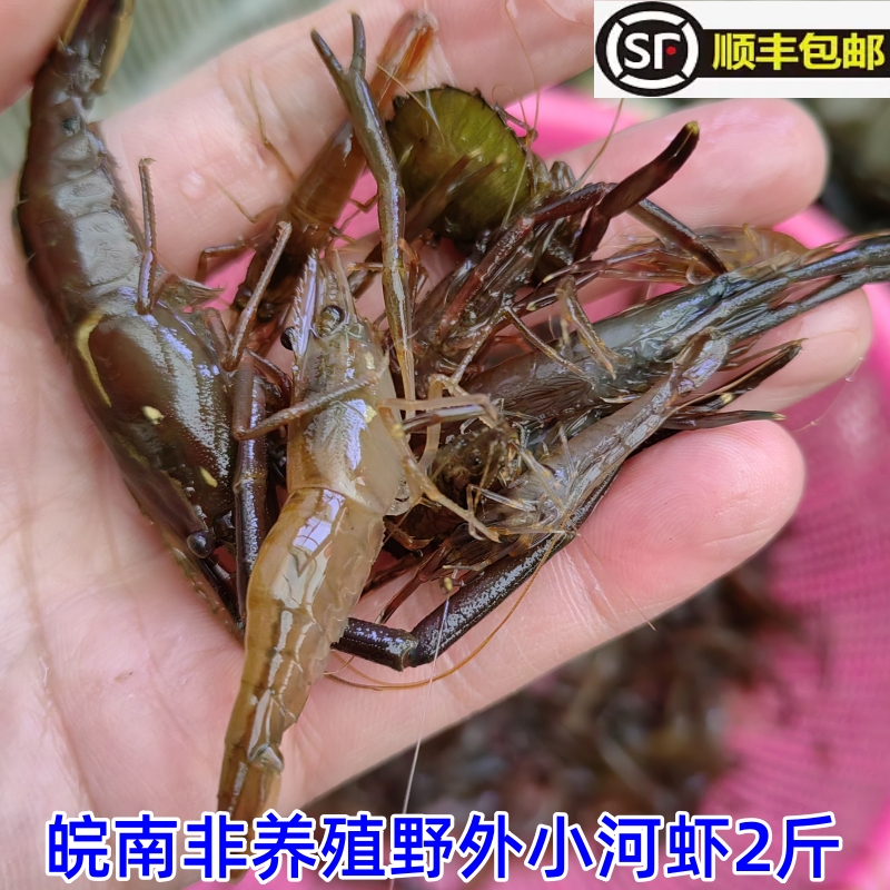 皖南非养殖野生小河虾鲜活黑硬壳草虾 无污染山涧溪河虾顺丰包2斤 水产肉类/新鲜蔬果/熟食 活虾 原图主图