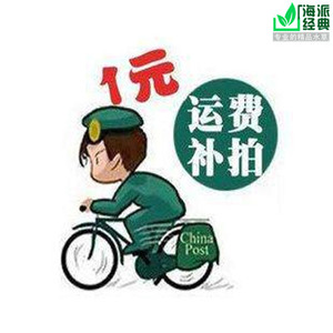 海派经典精品水草店运费专拍补拍差多少补多少