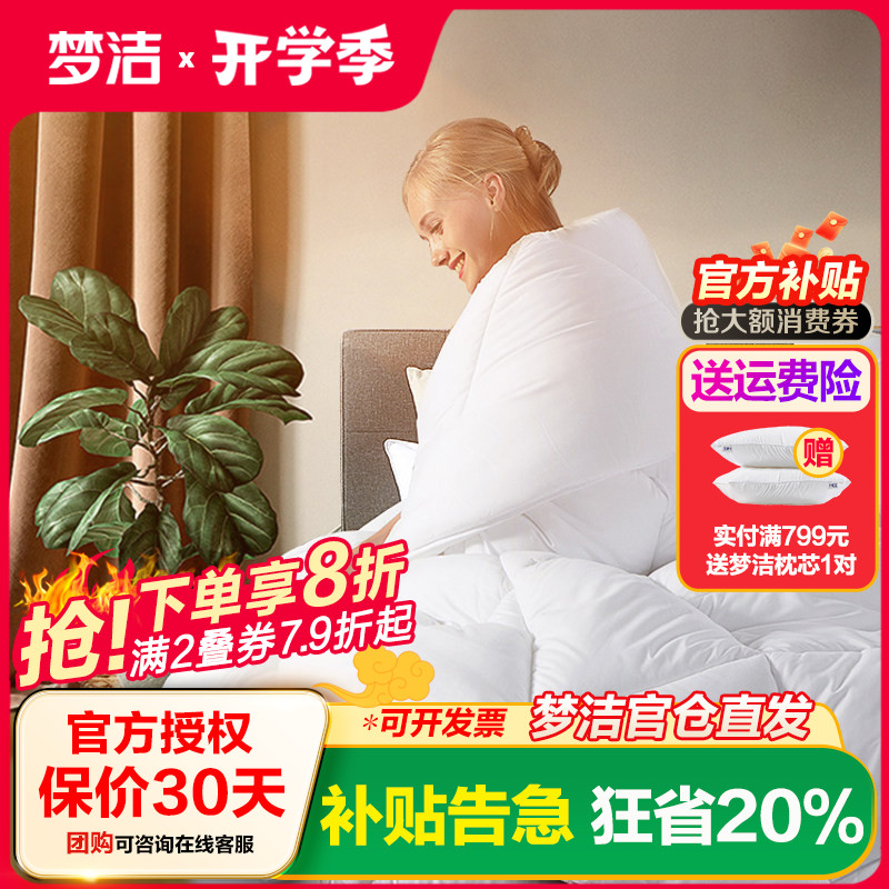 梦洁家纺七孔单人夏被冬被双人被