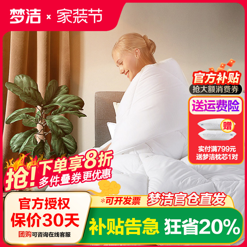 梦洁家纺七孔单人夏被冬被双人被