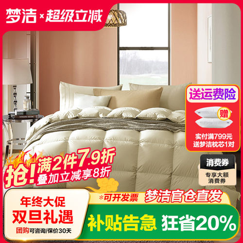 加厚保暖单人羽绒被梦洁