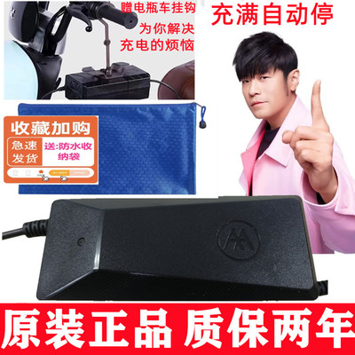 爱玛充电器重庆力华48V20A-3A