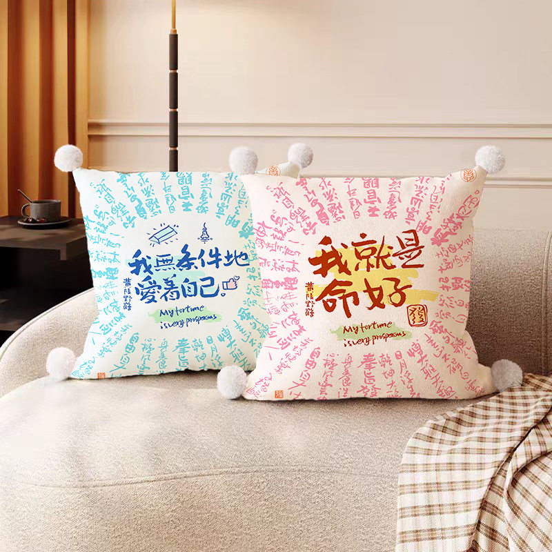 国风个性字抱枕发财暴富文字靠枕抱枕居家沙发靠垫超软含芯可拆洗
