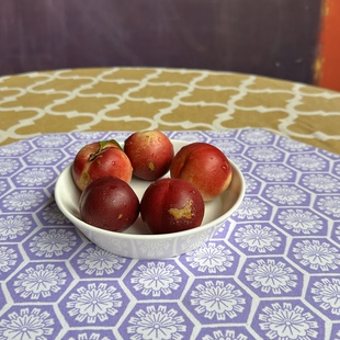 高温骨瓷5.75寸釉中高骨瓷早餐水果盘凉菜儿童辅食餐具洗碗机适用