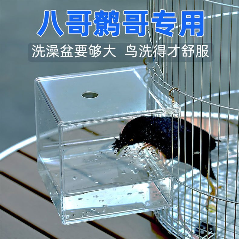 八哥专用亚克力透明洗澡盆鸟用