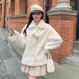 新款皮毛一体羊羔毛外套057-8851-p170k288，女装短外套，2B080