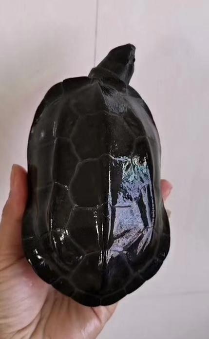 黑腹外塘镇宅风水招财长寿小乌龟