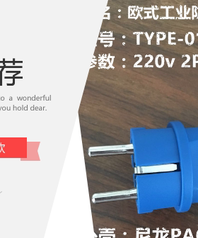 type-212 工业插头连接器2芯16A欧标带盖插座 防水IP44 220V 2P+E