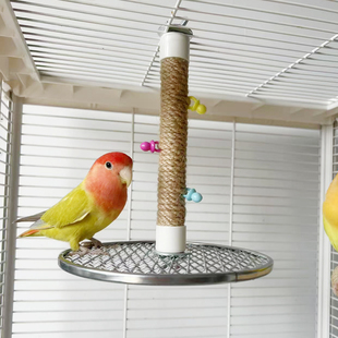 耐用结实和易清洗的圆型不锈钢网鹦鹉鸟笼悬挂站架，带啃咬玩具