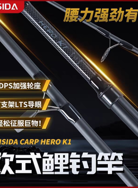 FEISIDA新款K1欧鲤钓竿碳素远投超硬插节竿3.6米海竿库钓竿3.5IB