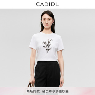 女 CADIDL卡迪黛尔商场同款 2025秋季 新款 圆领上衣针织T恤纯棉短袖