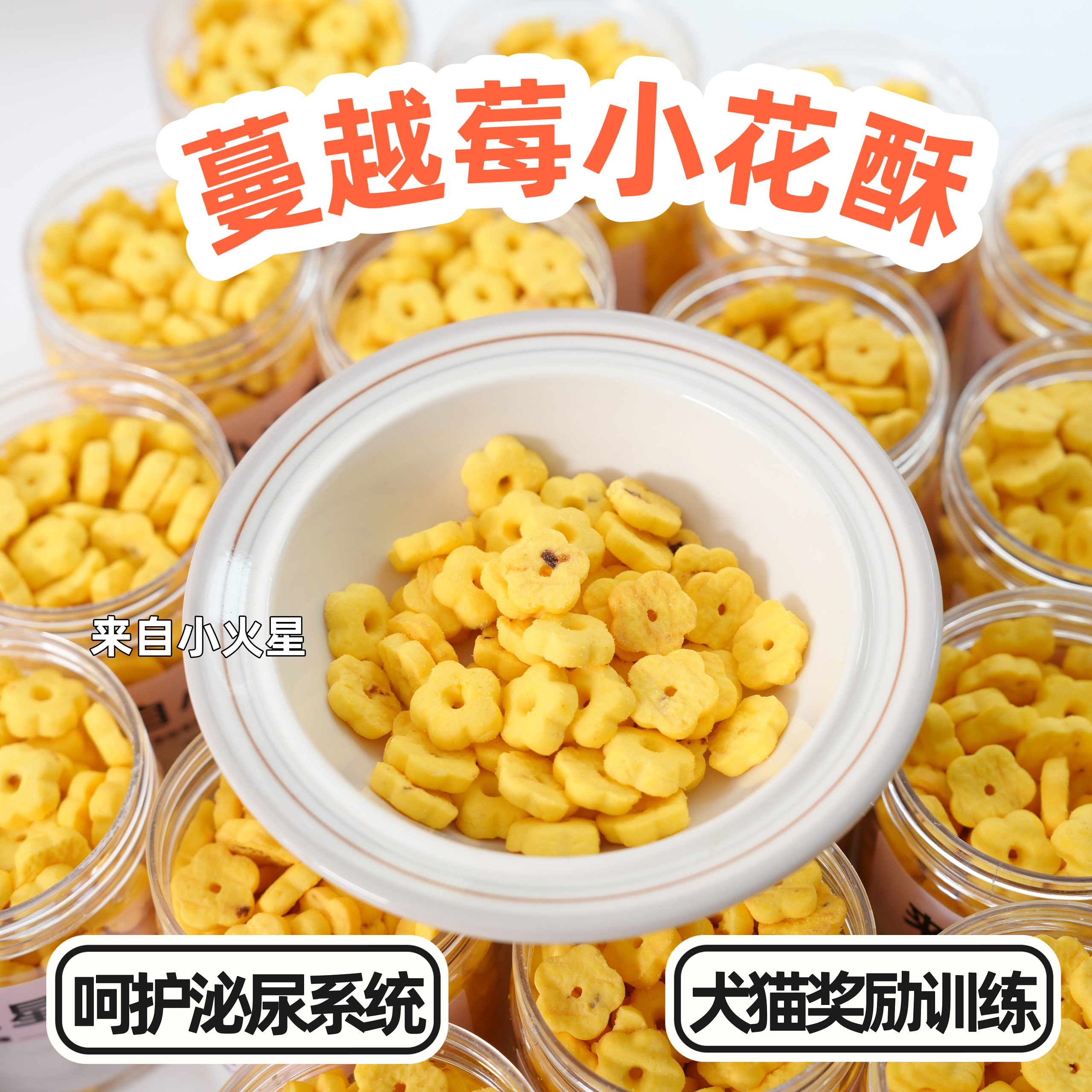 来自小火星 宠物狗泰迪比熊小型犬奖励零食手工小饼干蔓越莓小米 宠物/宠物食品及用品 狗饼干 原图主图