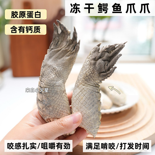 来自小火星自制鳄鱼冻干零食