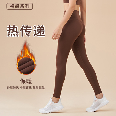 健身裤提臀加厚薄绒运动健身裤