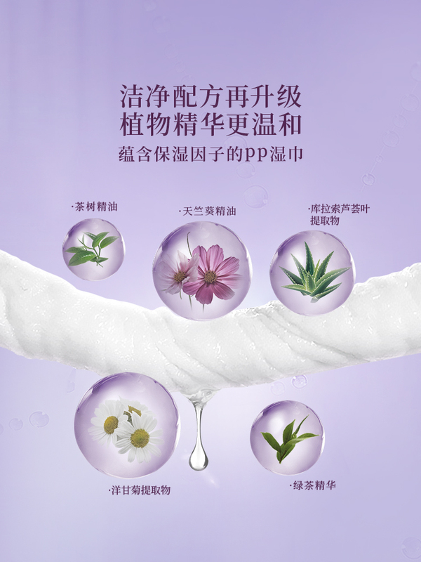 ch22小紫巾湿厕纸成人女性湿纸巾便携装家用痔疮可用擦PP 1提6包